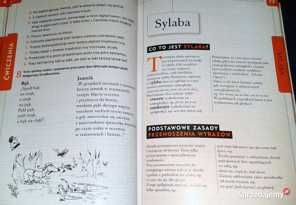 Gramatyka i stylistyka 3 Zofia CzarnieckaRodzik Chełm