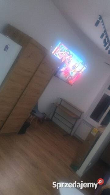 1pok 30met Sienkiewicza Wrocław Wynajem