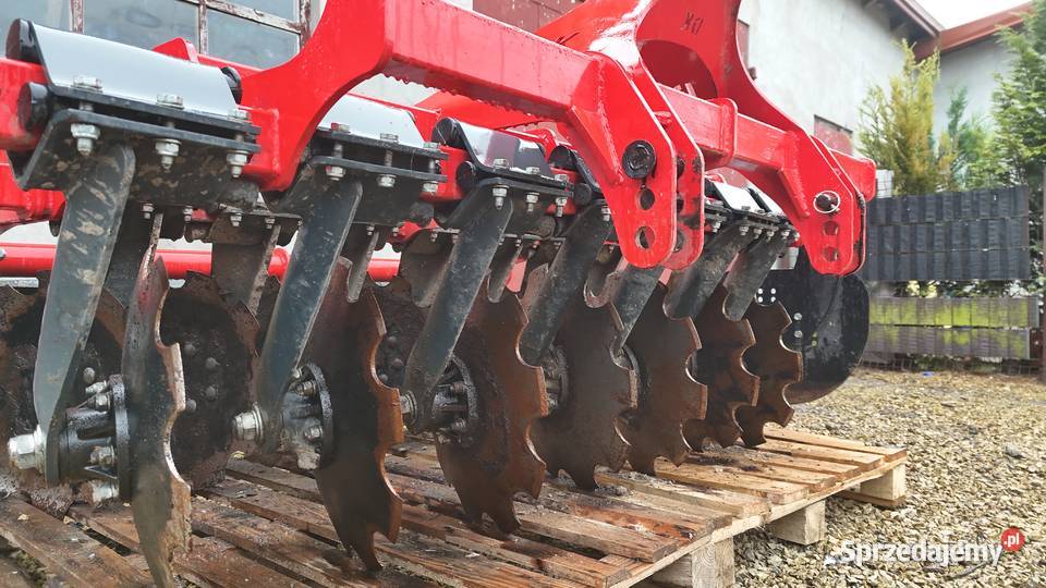 Talerzówka dziekan Rogaczew