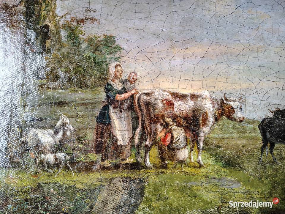 Stary obraz Krowy Kartuzy