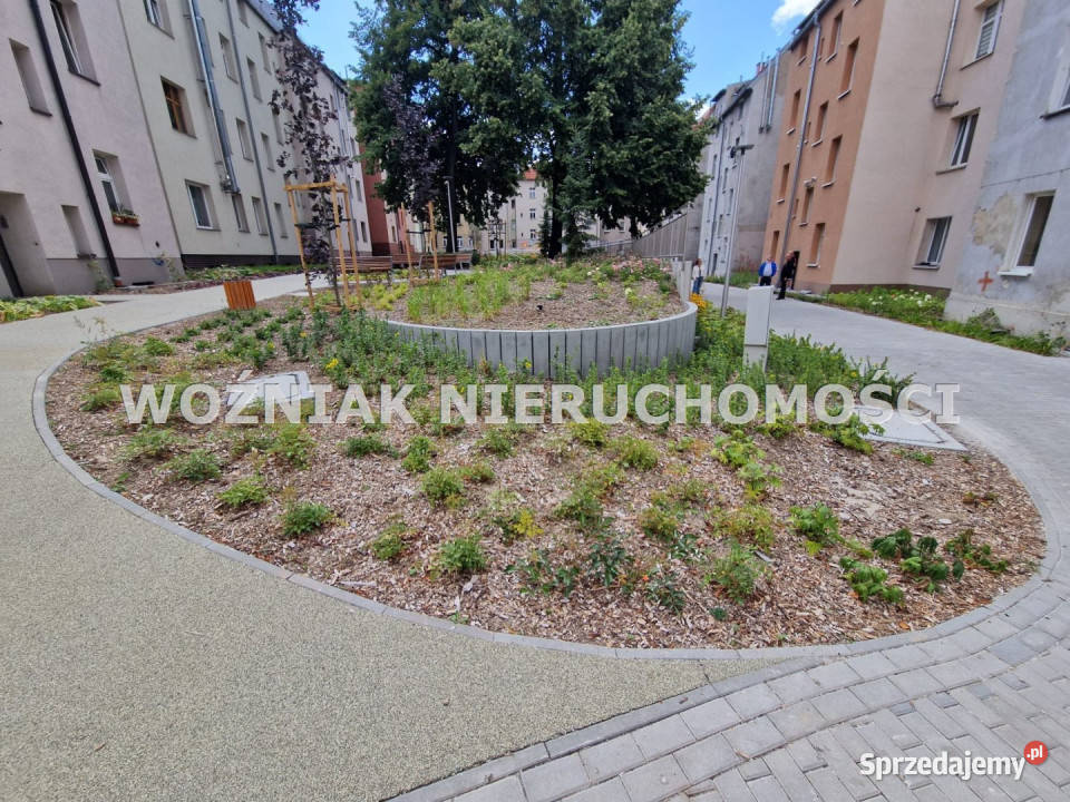 sprzedaży mieszkania Wałbrzych 4841m2 2 pok