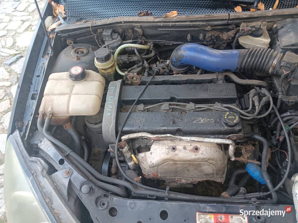 Sprzedam Ford Focus Mk1 Rok produkcji 1999 Motoryzacja Strzegom