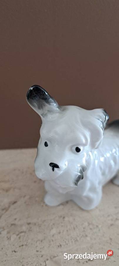 Sznaucer figurka porcelanowa kolekcja stary wielkopolskie Poznań