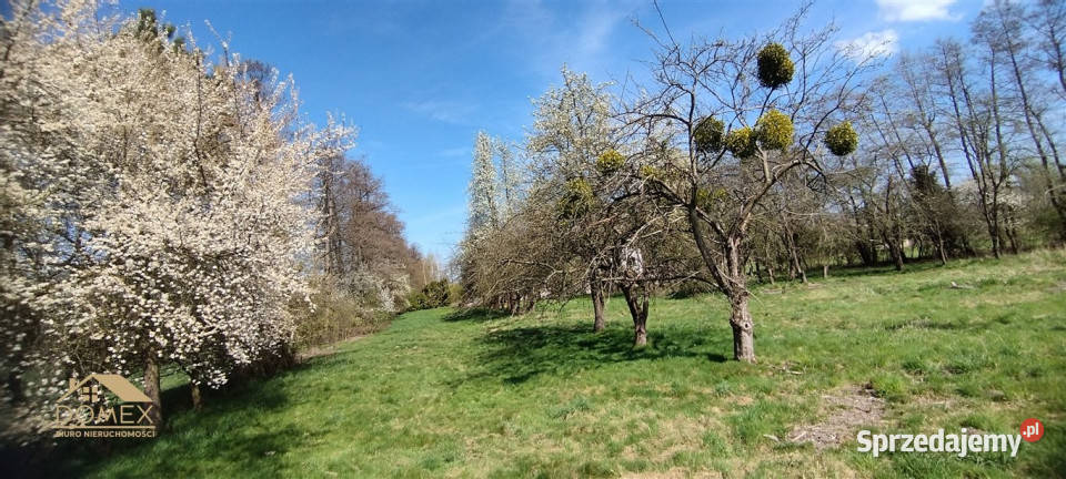 Grunt Chybie 2100m2 34m śląskie sprzedam