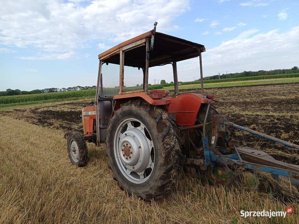 Massey Ferguson MF 260 świętokrzyskie Busko-Zdrój
