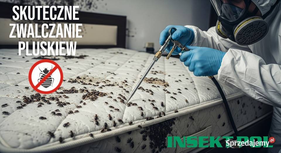 Zwalczanie pluskiew Kwidzyn Odpluskiewianie Chojnice