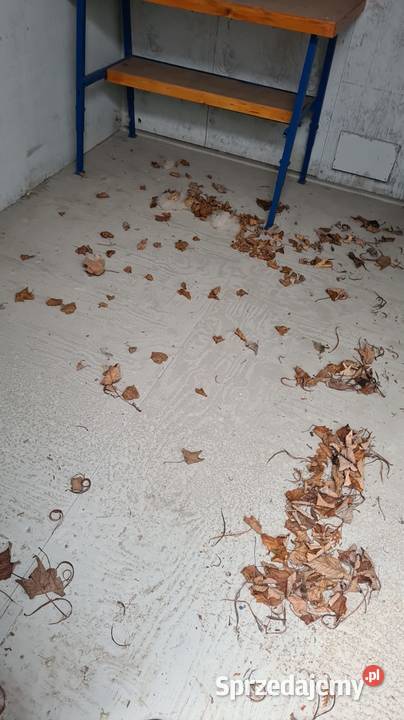 Kontener magazynowy 10 dv Gdańsk