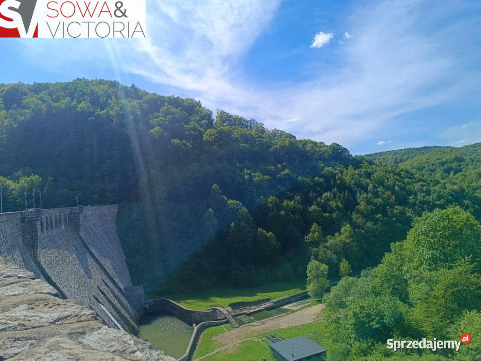 Rozległa działka lesie 1 jeziora Sprzedaż Michałkowa sprzedam