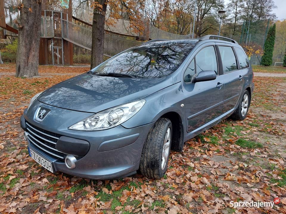 Peugeot 307 Kombi 2006 16 Hak Ważne opłaty Koła Rok produkcji 2006 Zielona Góra