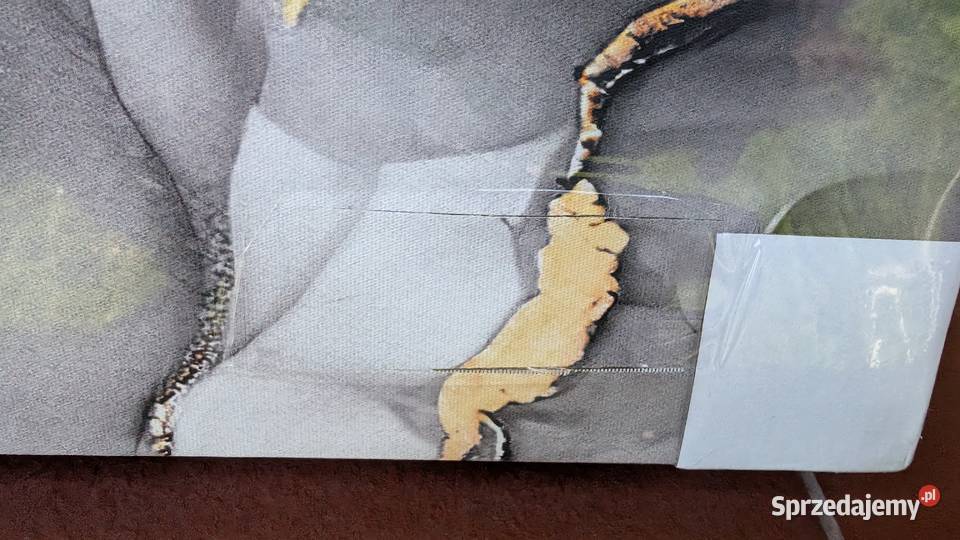 3 obrazy na płótnie FajerminArt 3 120x60 defekt sprzedam
