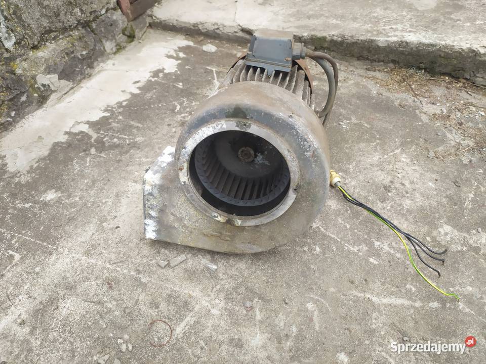 Silnik elektryczny 4 kW 2810 Dom i Ogród Pniówek