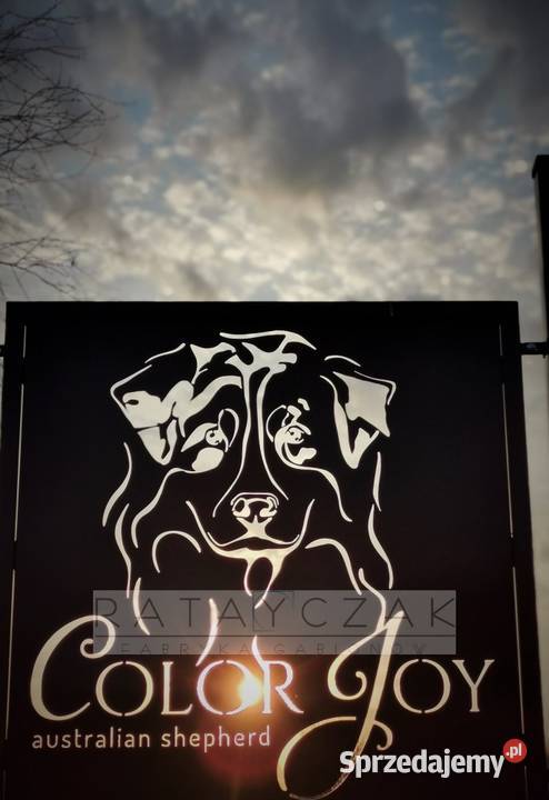 Furtka bramka wycinana CNC laser nowoczesne Toruń