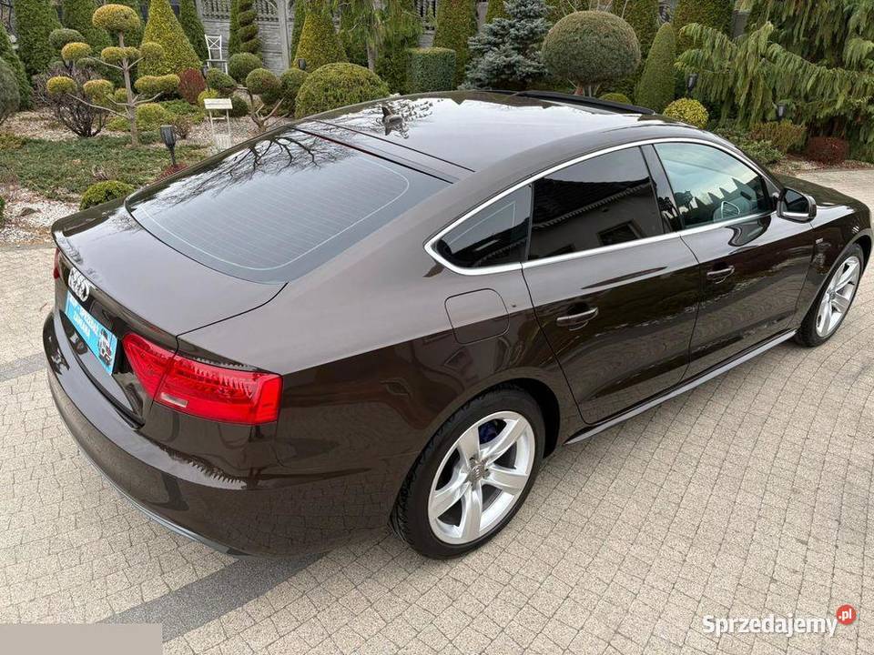 Audi A5 Sportback 20 TDI DPF 136 2013r Stan Krotoszyn