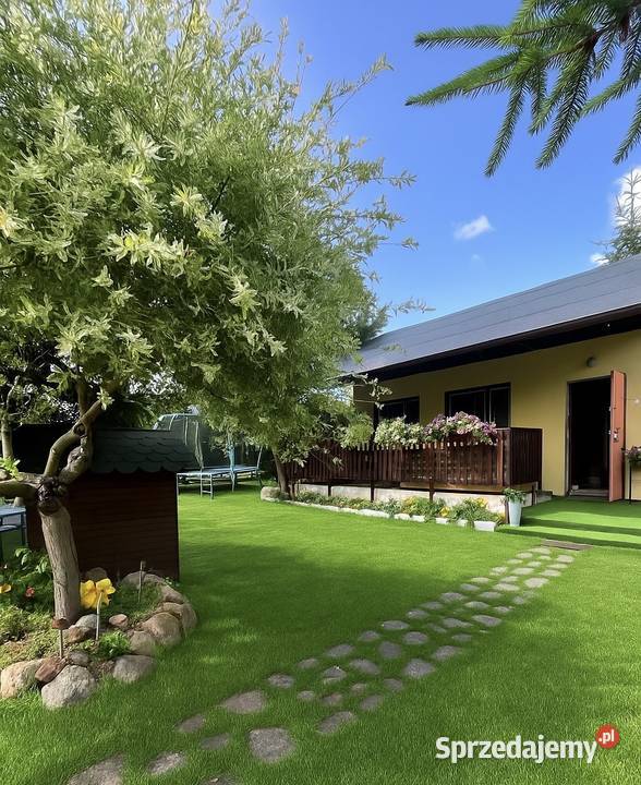 Dzialka ROD 15 min Bydgoszczy Wszystko w rekreacyjna