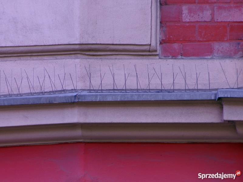 STOPPTAK CLASIC 111 kolce na ptaki ochrona przed Pozostałe dolnośląskie Wrocław