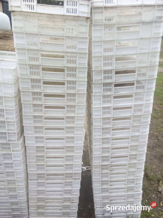 Plastiki do owoców Nowe Miasto nad Pilicą sprzedam