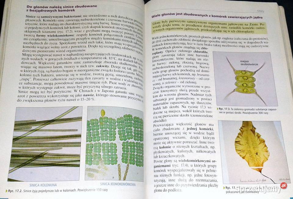 Ciekawa Biologia 1 Podręcznik Ewa Kłos lubelskie