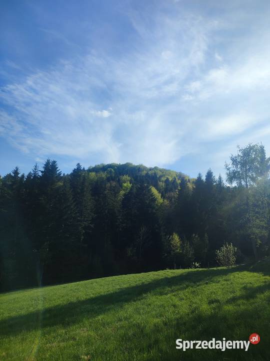 Sprzedam gospodarstwo z domem Siary