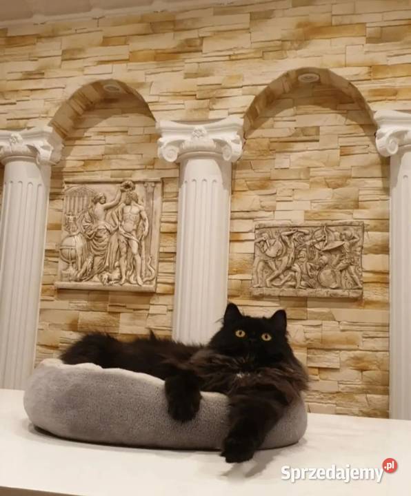 KAMIENNA PŁASKORZEŹBA SZTUKATERIA ELEWACYJNA Zielona Góra