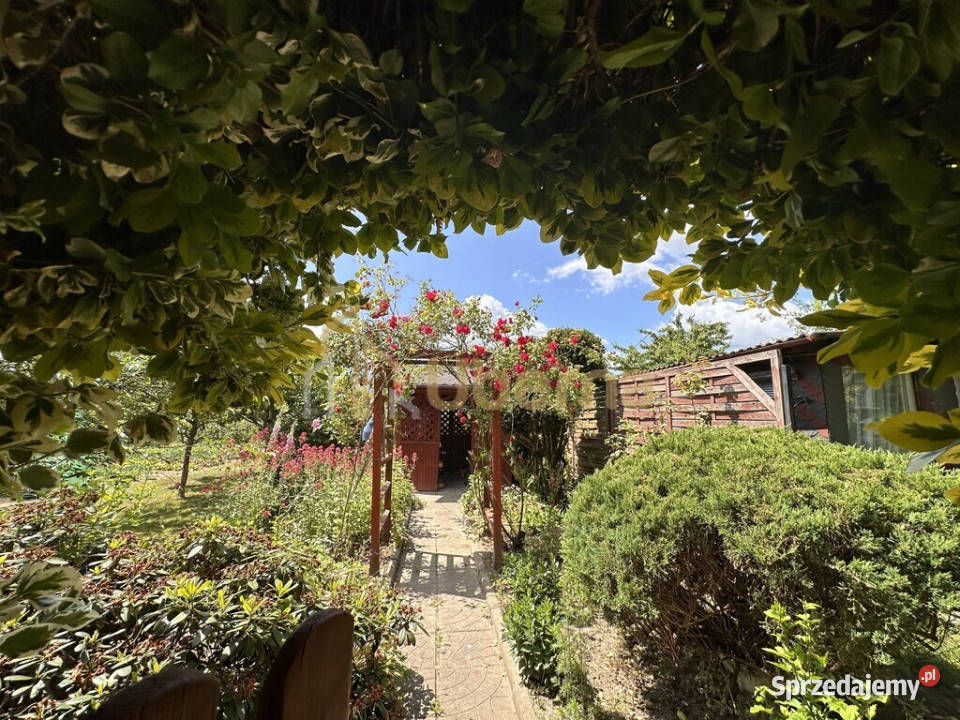 Mieszkanie 2pok Darż pod Maszewem na sprzedaż