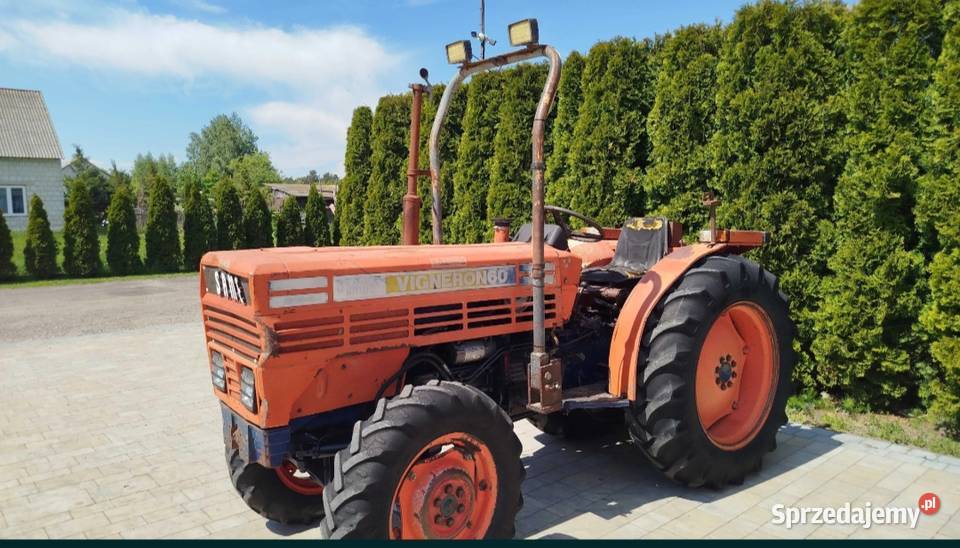 Same Vigneron 60 sadowniczy Skrzynia biegów Manualna Grabów Szlachecki