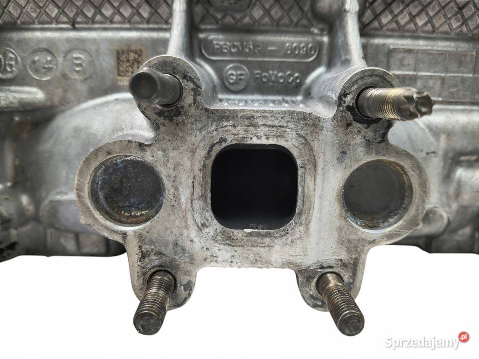 GŁOWICA Ford Focus Fiesta B 10 EcoBoost PBCM6090 Chełm