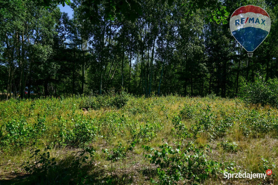 Działka budowlana 1002m2 Grądy k Żyrardowa