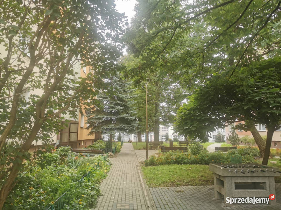 Bez prowizji remoncie 43 mkw parter k WSIZ i 43m2 Rzeszów sprzedam