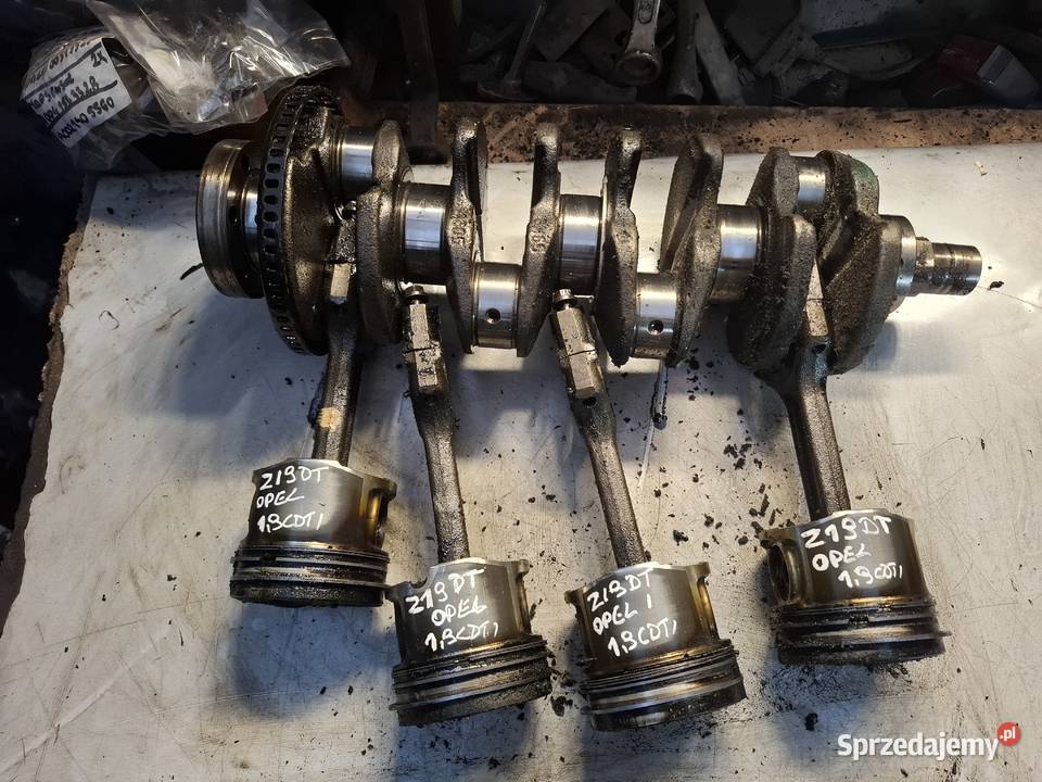 FIAT OPEL ZASTRA ZAFIRA VECTRA 19 CDTI wał osobowe świętokrzyskie Kielce