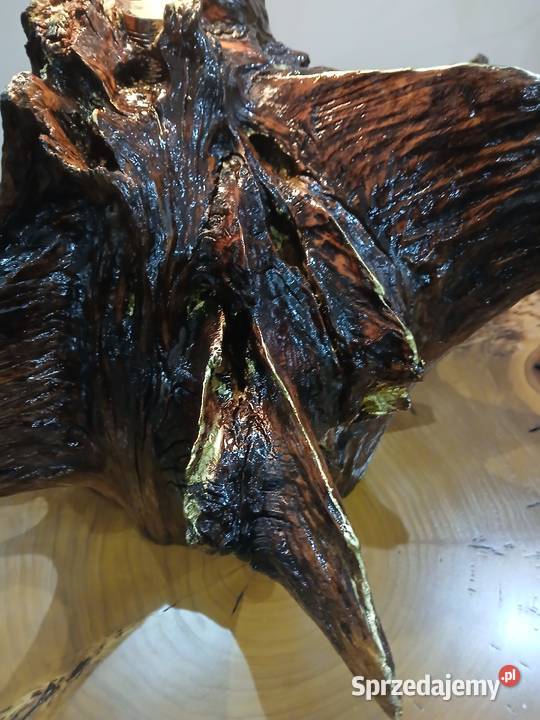 Lampa z dębowego korzenia małopolskie Skawina