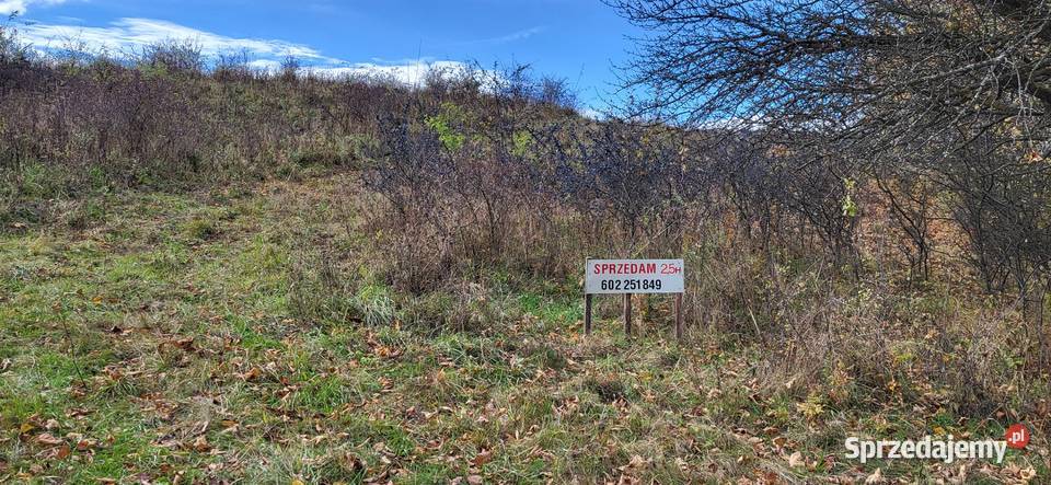 Działka rolno leśna w Baligrodzie 25 ha 25783m2 Baligród