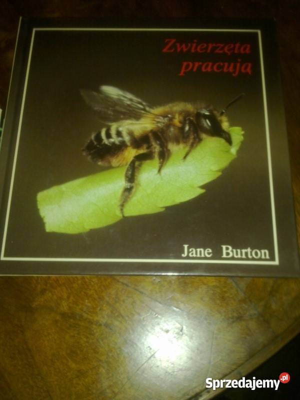 JANE BURTON Komplet 4 Książek Ideał Poradniki, albumy i reportaże Warszawa sprzedam