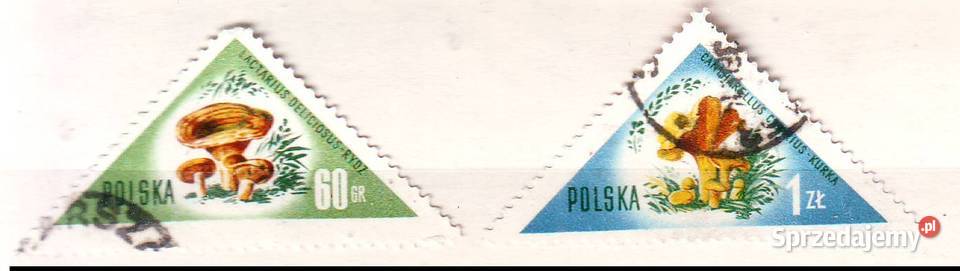 Zn Fi 951 2 kas 1959 Gliwice sprzedam