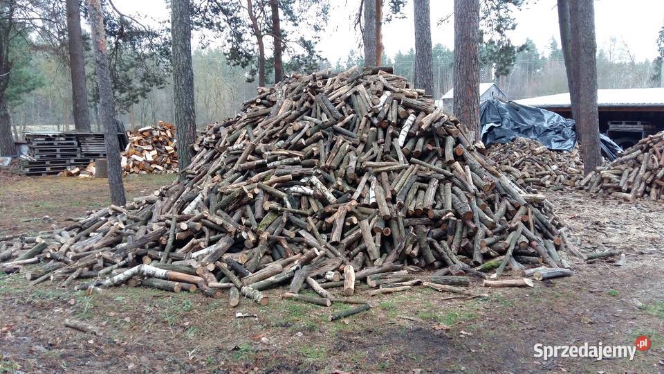 Drewno drzewo opałowe sosna dąb liściaste Łosice