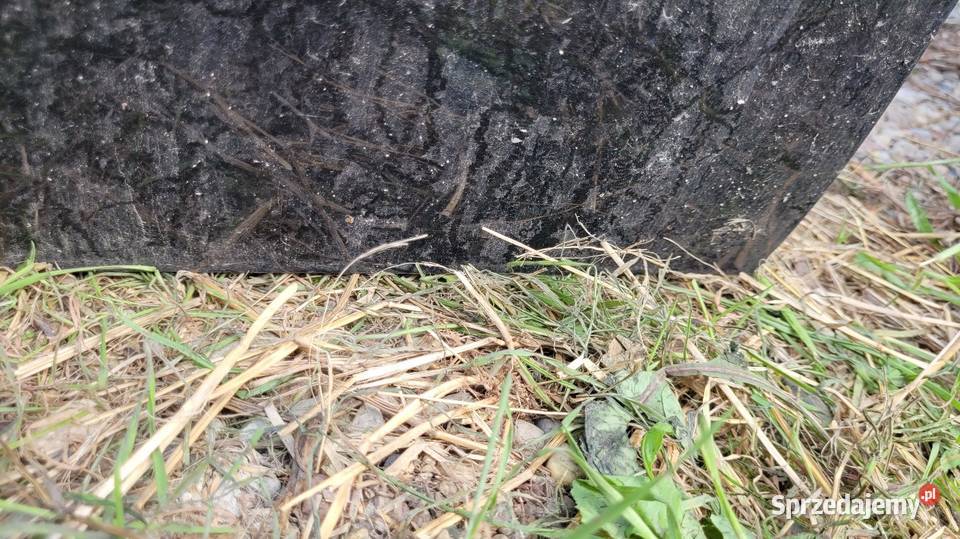 Drzwi Skoda Octavia I Łagów