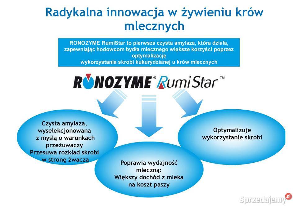 Amylaza enzym bydła mlecznego Ronozyme Rumistar Karmy i pasze Strzelce Wielkie