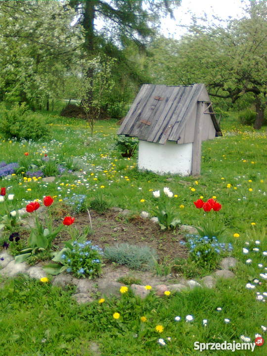 Dom z czerwonej cegły Ornowo