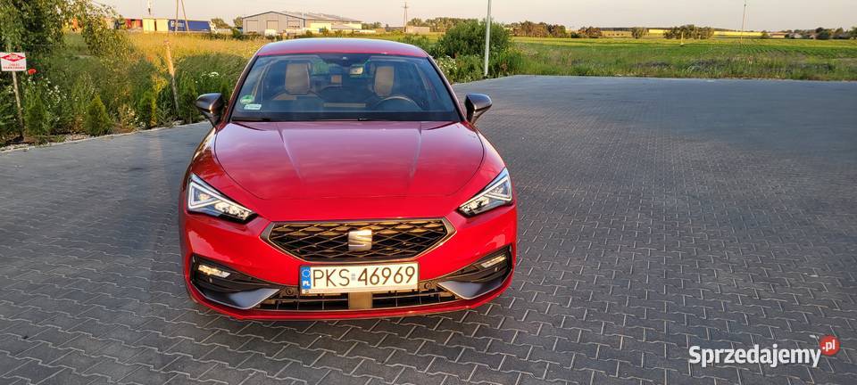 Pierwszy Właściciel Bezywpadkowy Stan Idealny Leon wielkopolskie Poznań