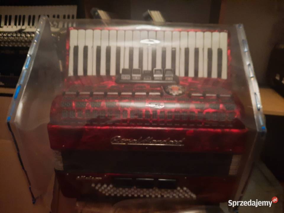 Akordeony Konin