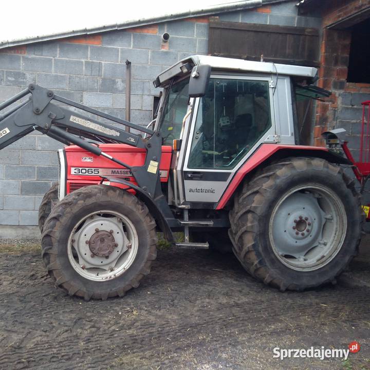 Massey Ferguson 3065 z ładowaczem Danowiec