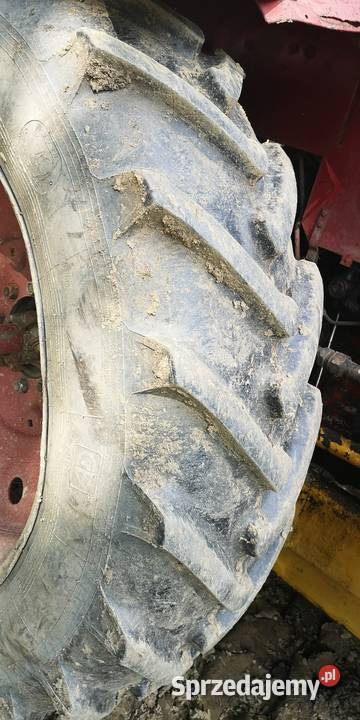 Mtz 82 koparko ładowarka Borex Rok produkcji 1997 Teleśnica Oszwarowa