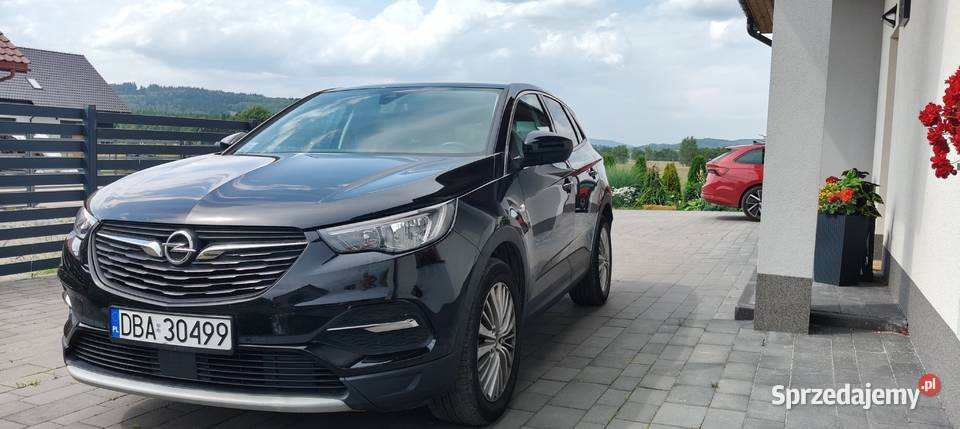 Opel Grandland X Grandland X Krzeszów sprzedam