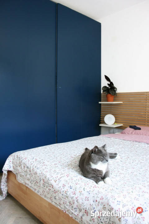 Jasne mieszkanie 42m2 w centrum w okolicy