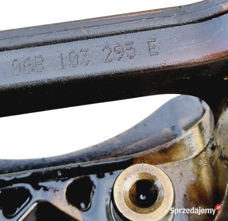 POMPA OLEJU 20 ALT AUDI A4 B6 A4 B7 A6 C5 PASSAT Działoszyce
