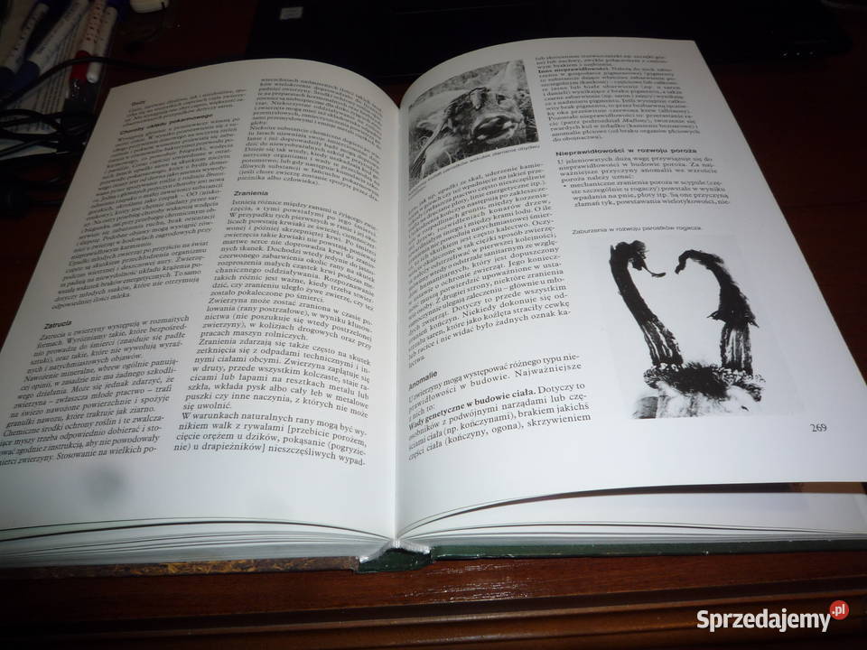 łowiectwo fritz nublein Pozostałe