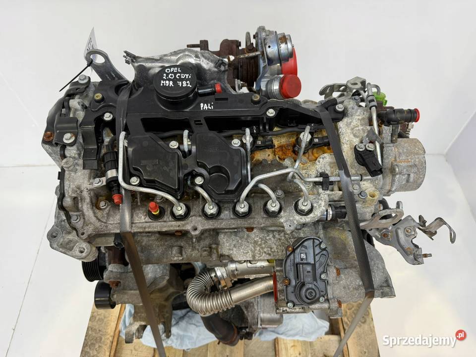 SILNIK M9R782 Renault Trafic Nissan Primastar Chełm sprzedam