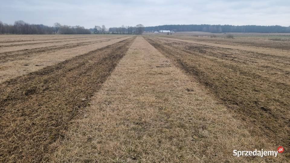Nawigacja FJDYNAMIC AT2 używana na gwarancji Kolnica