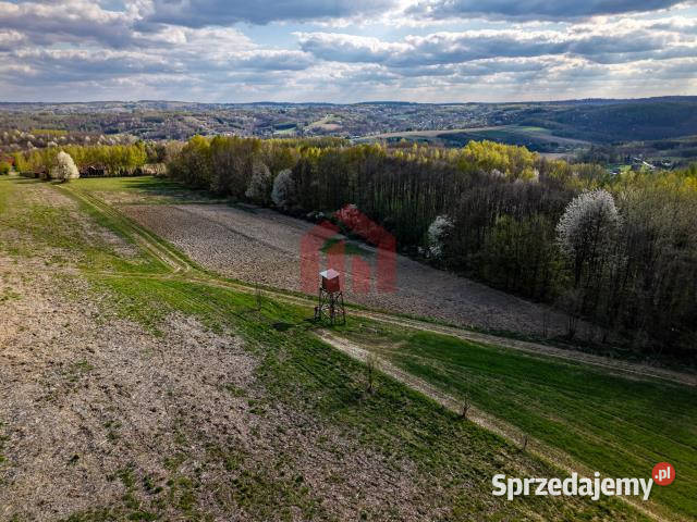 Działka 4836m2 Hadle Kańczuckie sprzedam