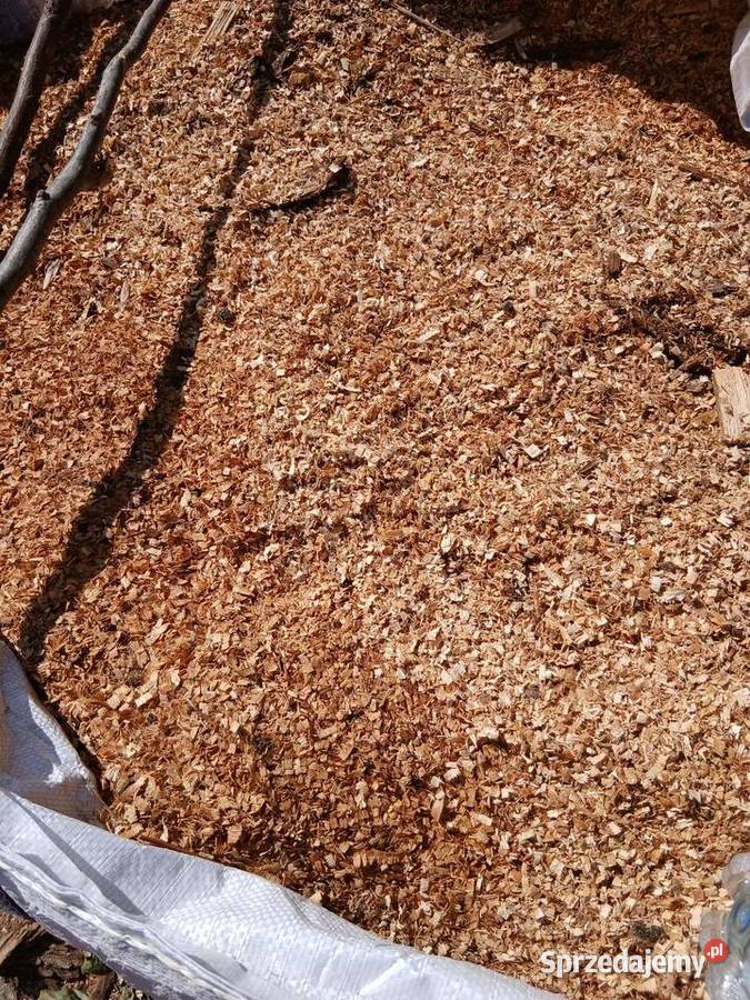 Trocina mix Gnojna sprzedam