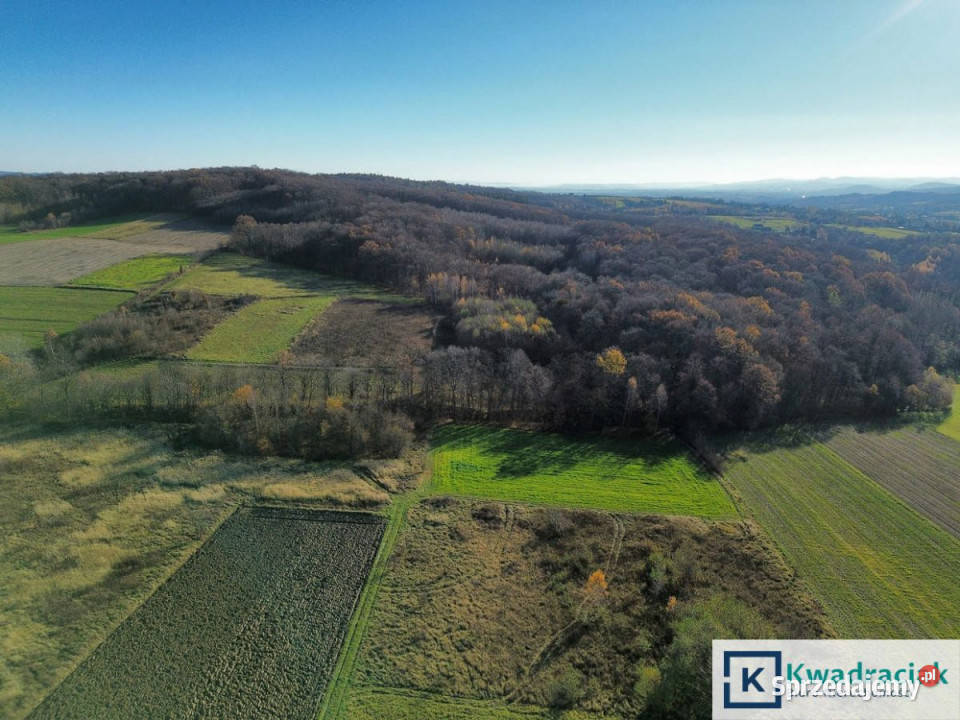 Ogłoszenie grunt Podniebyle 6100m2 rolna Nieruchomości